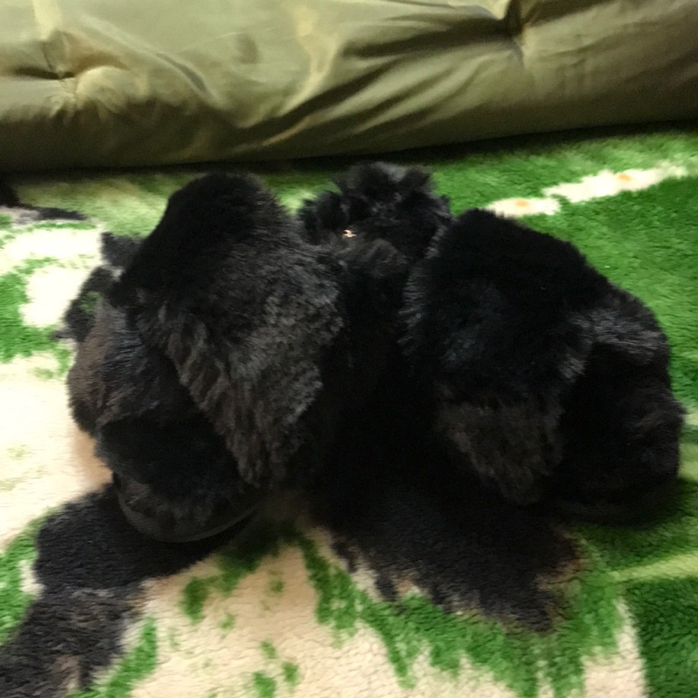 Slippers by FamiPort New